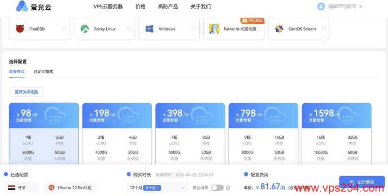 萤光云埃及VPS购买教程-套餐选择