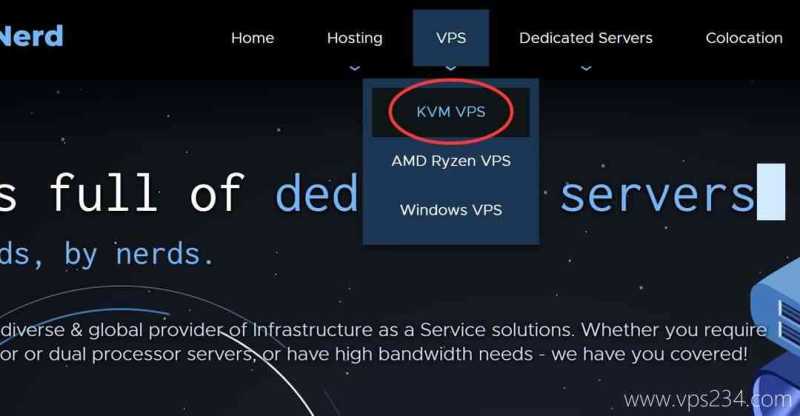 Racknerd美国VPS购买教程-产品入口
