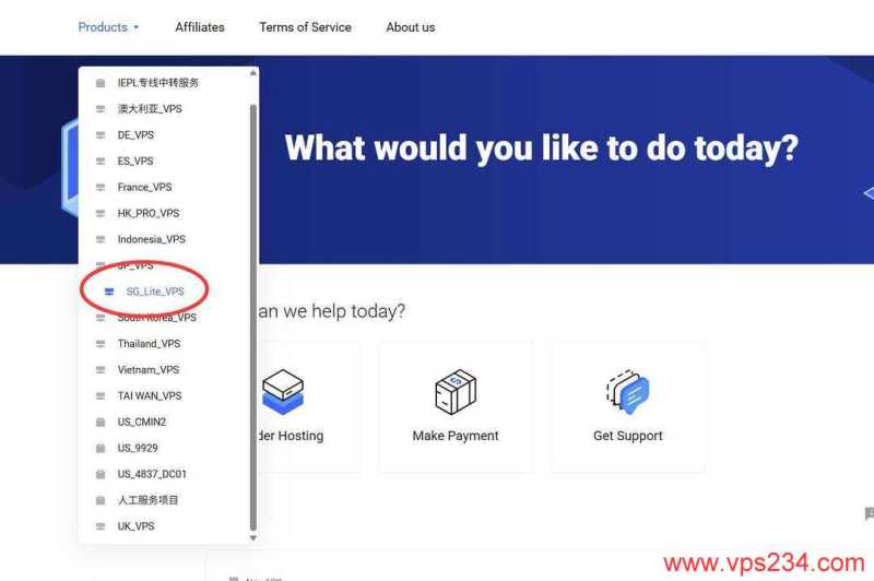 WePC新加坡VPS购买教程-入口选择