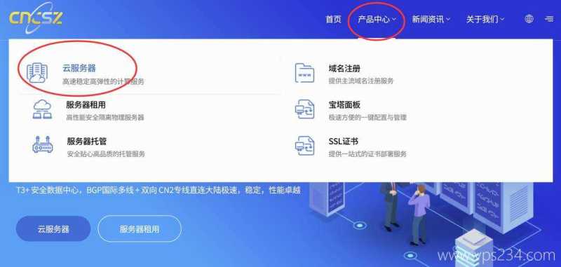 cncsz美国VPS购买教程-首页入口