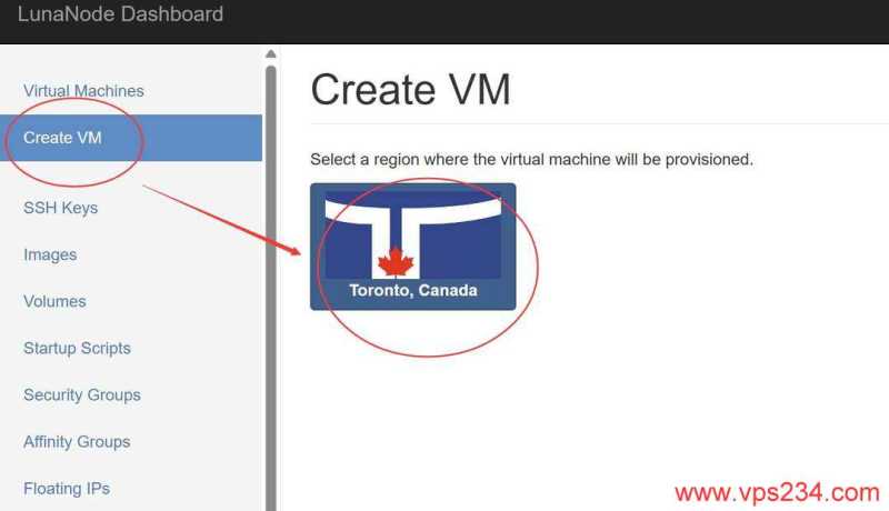 LunaNode加拿大VPS购买教程-节点选择