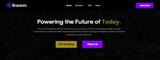Enzonix VPS年付仅$18，高性能Ryzen配置+10TB流量@1Gbps带宽，洛杉矶/纽约/德国可选插图