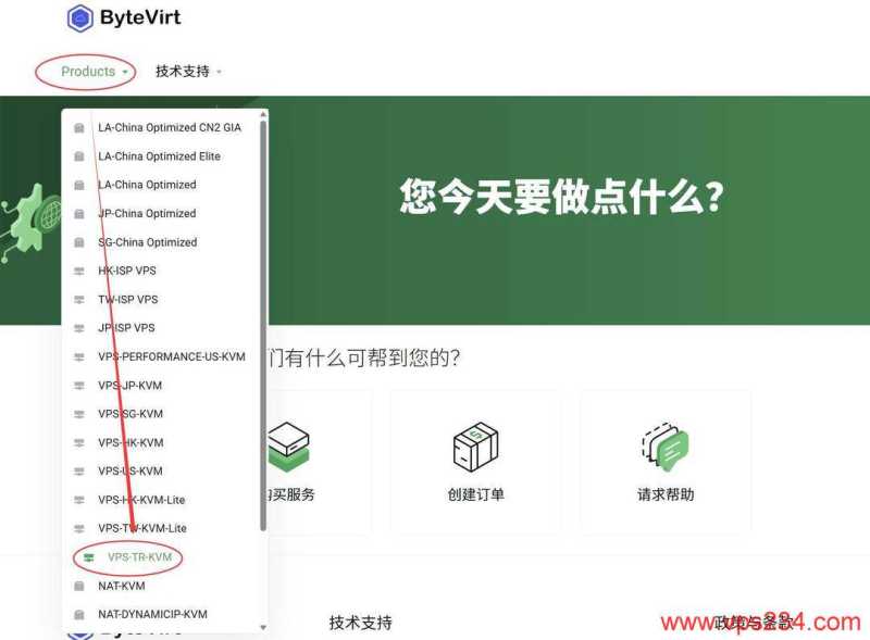2026年荷兰低价 VPS 套餐推荐：月均 5 美元内方案对比插图43