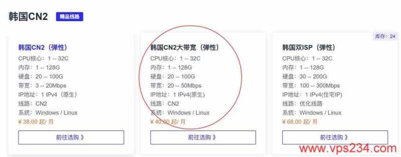 莱卡云韩国VPS购买教程-套餐选择