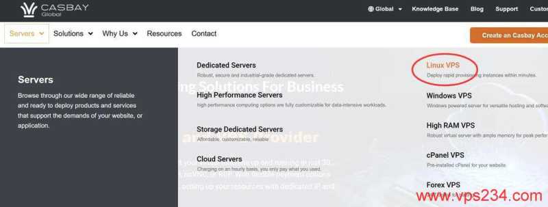 Casbay马来西亚VPS购买教程-首页入口
