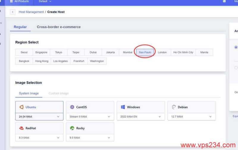 SurferCloud巴西VPS购买教程-节点选择