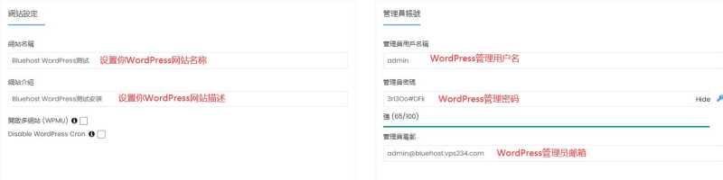Bluehost虚拟主机建站教程 – 30分钟快速搭建网站 VPS插图13
