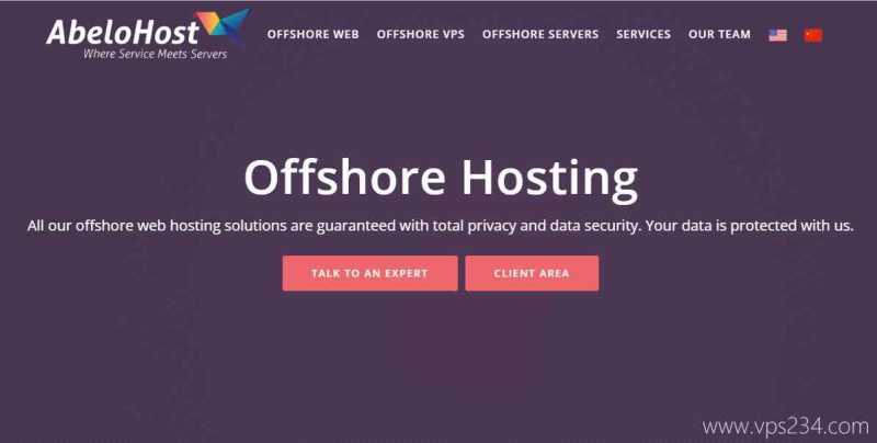 怎样选择国外VPS？搬瓦工、Vultr这些便宜的国外VPS多年经验整理后有哪些推荐？插图14