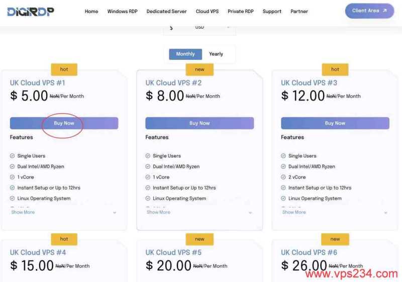 DIGIRDP英国VPS购买教程-套餐选择