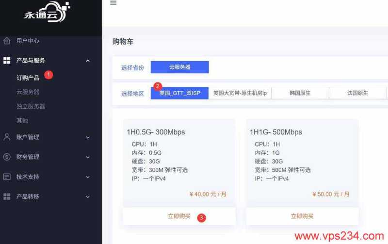 永通云美国家宽VPS购买教程-套餐选择