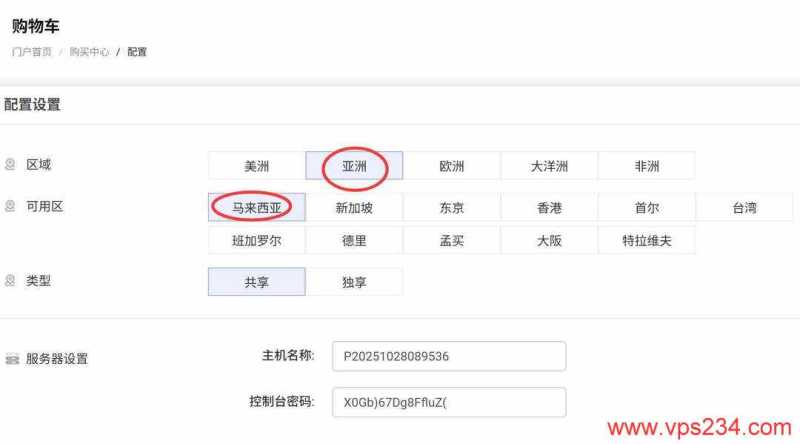 RAKsmart马来西亚VPS购买教程-节点选择