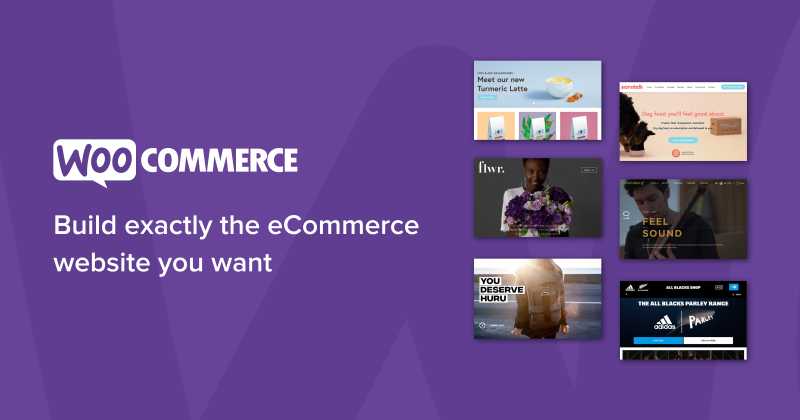 有哪些最好WooCommerce主题推荐？50款系列一怎么样，值得用吗？插图