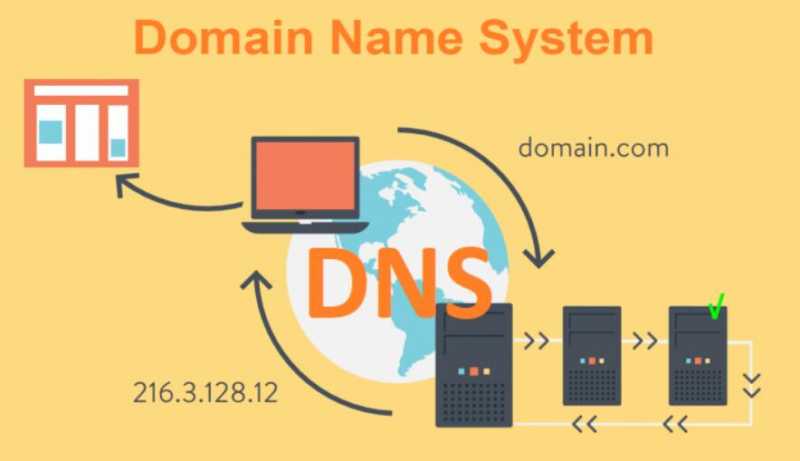域名DNS解析教程里什么是DNS服务器和域名IP映射，有什么详细解释吗？插图