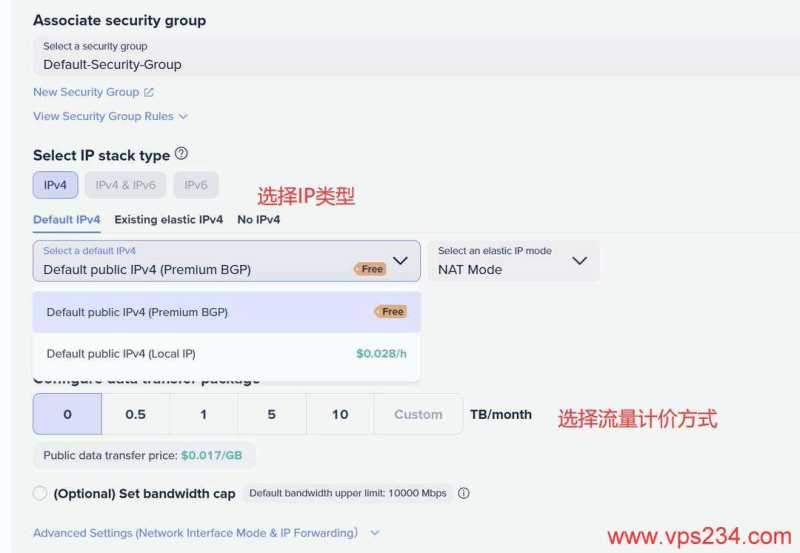 Zenlayer菲律宾VPS购买教程-IP和流量计价方式选择
