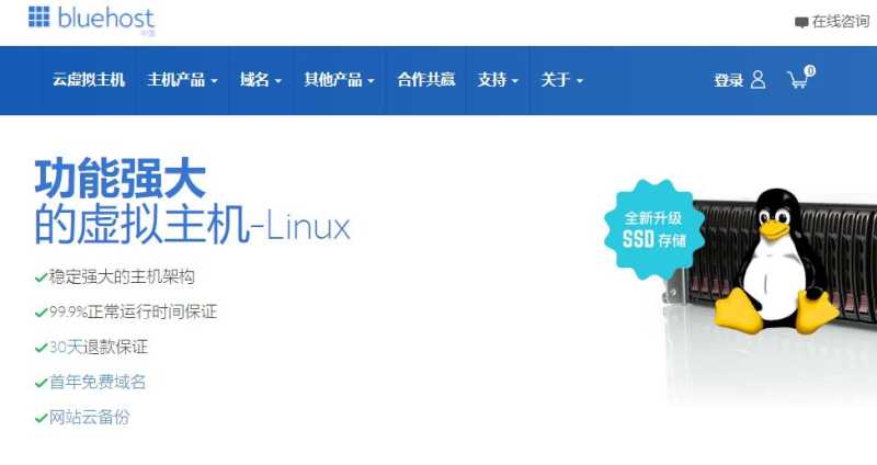 博客主机哪个好，选择攻略和心得分享插图3