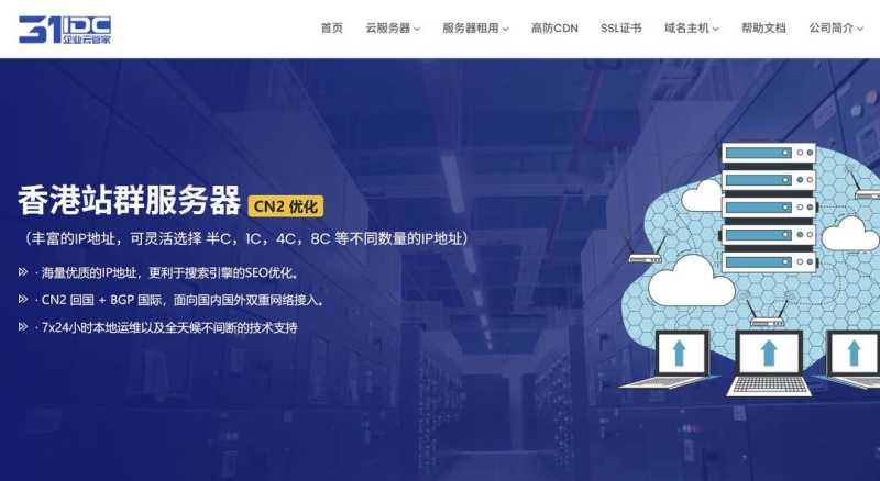 31IDC：香港站群服务器-232个IP-CN2优化线路