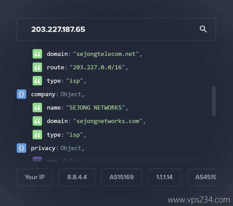 荫云韩国VPS测评 - IP类型测试
