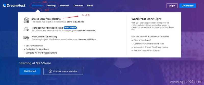 Exclusive Web Hosting Promo for Ryan Robinson – DreamHo插图3