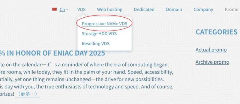 Friendhosting巴西VPS购买教程-入口链接