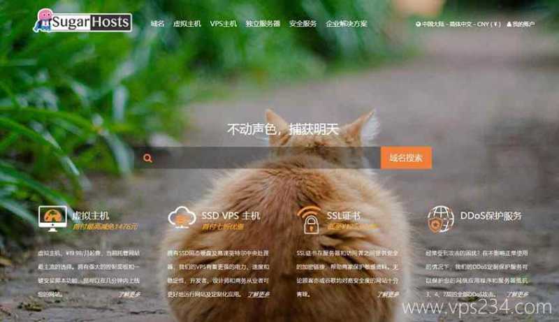 怎样选择国外VPS？搬瓦工、Vultr这些便宜的国外VPS多年经验整理后有哪些推荐？插图17