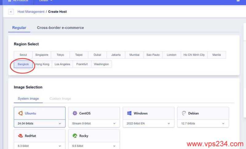 SurferCloud泰国VPS购买教程-配置选择
