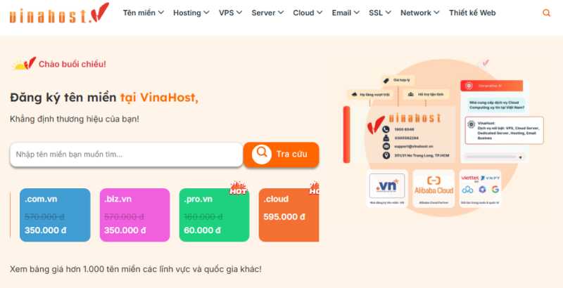 VinaHost泰国抗投诉机房补货了，100Mbps不限流量VPS月付$20和独服$275/月支持Paypal/USDT/USDC怎么样，值得入手吗？插图