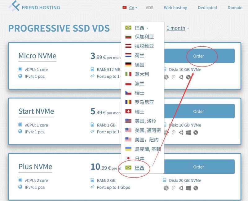 Friendhosting巴西VPS购买教程-节点选择