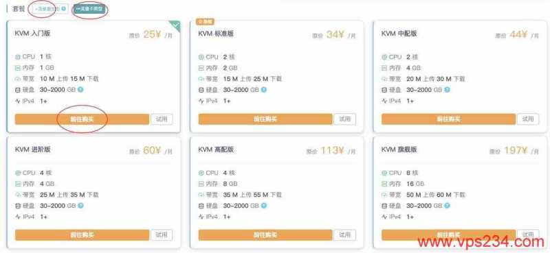 雨云的美国VPS购买教程-套餐选择