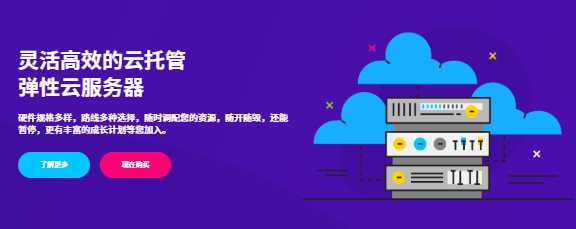 DogYun香港MG机房BGP云服务器怎么样，网络表现如何？插图