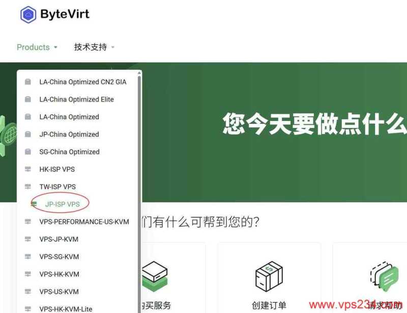 ByteVirt VPS 套餐、促销和机房选择汇总插图49