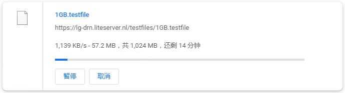 LiteServer荷兰VPS测评 - 本地下载速度