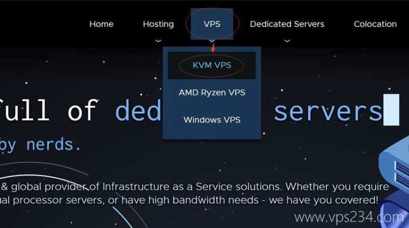 RackNerd 阿姆斯特丹 VPS 套餐对比：价格、配置和线路怎么选？插图27