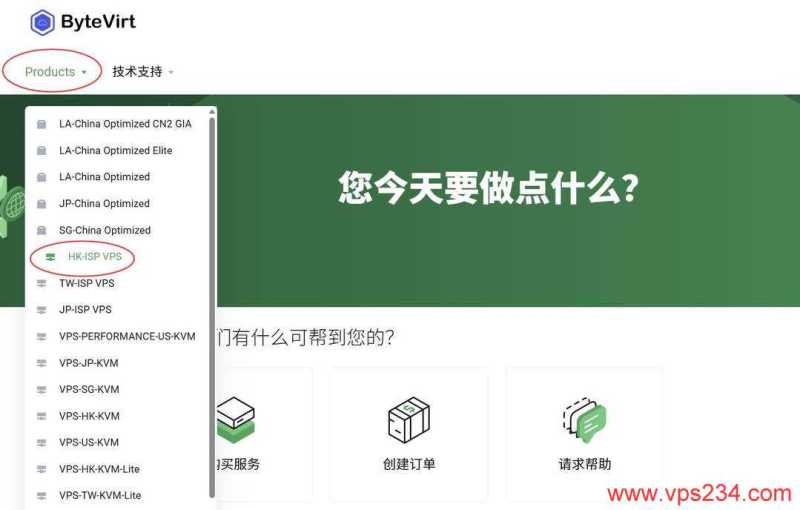 ByteVirt VPS 套餐、促销和机房选择汇总插图29