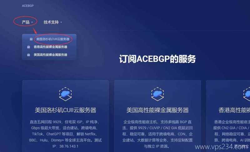 ACEBGP美国VPS购买教程-入口链接