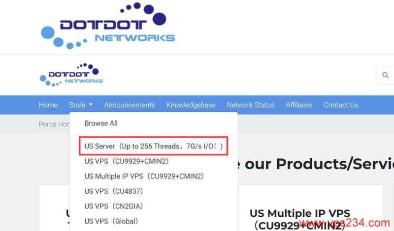 Dotdotnetworks美国独立服务器购买教程-首页入口