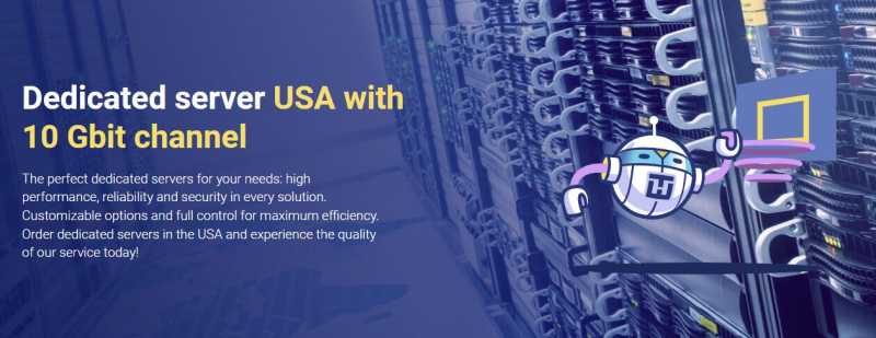 THE.Hosting独立服务器