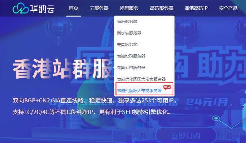 华纳云纯国际线路香港大带宽独立服务器购买