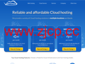 virtono:新年促销,全场五五折,全球11个机房可选,可自定义ISO,支持支付宝,4.9欧元/月起