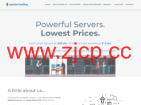 RepriseHosting:美国便宜服务器服务器,L5640/16G内存/1TB硬盘/20TB/1Gbps,$25.97/月