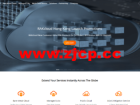 raksmart:香港\日本\韩国\美国机房,独立服务器($30/月),资源可定制-10G大带宽\300G高防(无视CC)\多C站群