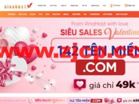 VinaHost:便宜越南VPS,免费的DirectAdmin,越南抗投诉VPS八折,4.6美元/月起