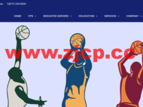 DediPath:全场6折优惠,vps云服务器12美元/年起,美国独服39美元/月