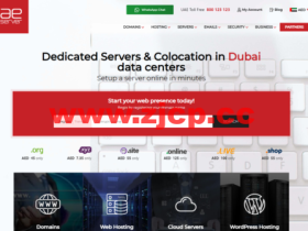 AEserver:迪拜VPS,1核/1G内存/30G SSD硬盘/不限流量/5M带宽,$27.00/月起,支持IPv6,迪拜独立服务器$160.00/月起