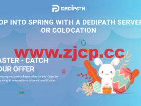#复活节促销#dedipath:美国便宜独立服务器,E31240v2/16G内存/2TB HDD或/250G SSD硬盘/不限流量/1Gbps带宽,$39/月起,VPS服务器65折优惠