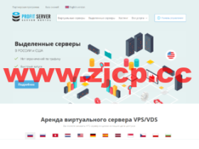 ProfitServer:荷兰VPS,阿姆斯特丹机房五折,1核/1G内存/10G SSD硬盘/不限流量/100M带宽,月付2.88美元起