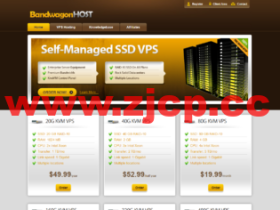 美国洛杉矶机房:CN2 GIA线路VPS推荐