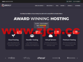 Brixly:英国VPS,1核/1G内存/30GB SSD硬盘/不限流量/100Mbps带宽,£ 10/月(首月只需 1 英镑)