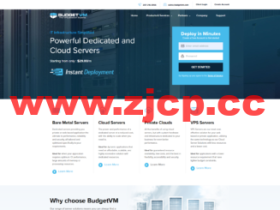 BudgetVM:日本机房服务器,E3-1231v3/16GB内存/480GB SSD硬盘/不限流量/1Gbps-40Gbps带宽,$86.88/月起