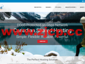 #抗投诉无版权#underhost:荷兰VPS,1核/2G内存/25G nvme硬盘/1TB流量/1Gbps带宽,$59.95/月起