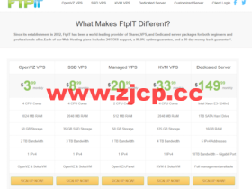 FTPit:美国OpenVZ VPS,2核/512MB内存/30GB硬盘/1TB流量/100Mbps带宽,$1.99/月起,6大机房可选